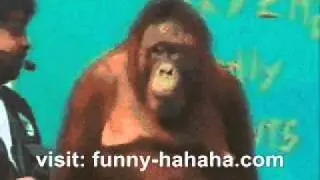 Primate Magic funtertainment hahaha.com