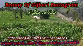 Beauty Of Battagram , Green fields , natural beauty , Birds & awesome plants .