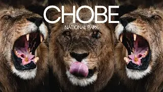 Solo Travel Africa Episode #4 Car Trouble In Chobe