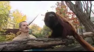 Tierisch K&ouml;lsch - Geschichten aus dem Domstadt-Zoo (ZDF), 7. Staffel