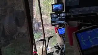 DENEIR FRINHANI NOGUEIRA - FORESTMACHINE OPERATOR.
