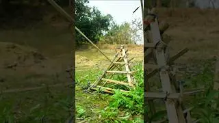 Survival Test:Bird Trap🍃🐦 #shorts #survival