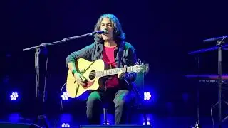 אביב גדג' - שרף אורנים