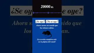 Sonido para ahuyentar ratas y ratones (20 s) &ndash; ultrasonido 20000 Hz, repelente seguro