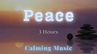 Deep Sleep 3 Hours &bull; Black Screen No Ads | Pure Soothing Ambiance