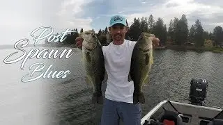 How to Fish Post Spawn Bass Fishing [Jigs, Dragging Worms, Dropshot]