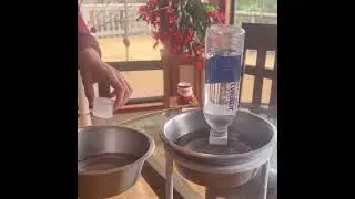 Pet Water Feeder Bowl Projecy