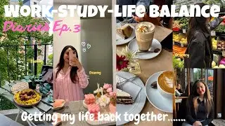 Work-Study-Life Balance Diaries Ep.3🧑‍🍳:Getting My Life Back Together 🌸💞🌷نظمت حياتي من جديد 🇩🇪👯‍♀️🧸