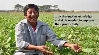 East-West Seed Knowledge Transfer aims to reach 56,000 farmers in 2017