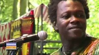 Ba Cissoko - Badinia - LIVE at Afrikafestival Hertme 2010