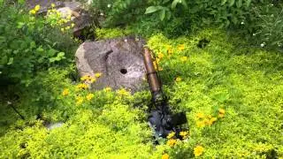 Iron Frog Deer Chaser