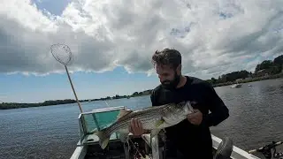From DMV Dread to Riverbed: Errands, Stripers, & Crab Feast!