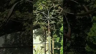 Double Spinner Wind Sculpture by Lyman Whitaker