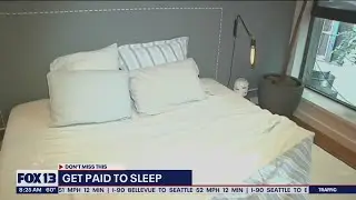 Get paid to sleep | FOX 13 Seattle