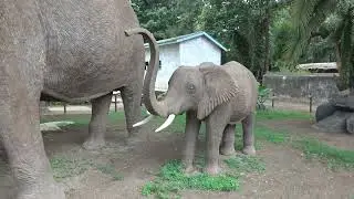 Natural History Museum in Arusha - Tanzania Nov 2022  Roots & Culture Journey of a Lifetime Tour