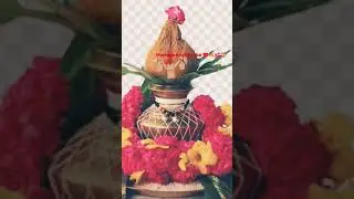 #marriage bond 💝💝🔥🥰🤗