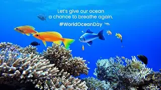 World Ocean Day: Let's Help our Ocean Breathe Again | #WorldOceanDay | Mutual Funds | NIMF