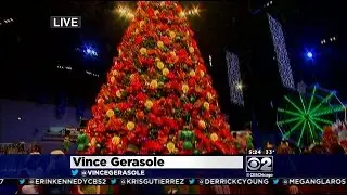 Winter Wonderfest Comes To Navy Pier