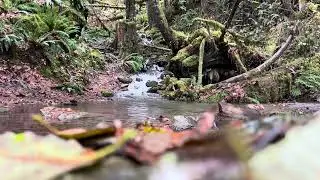 By Baker lake. Waterfall 2b