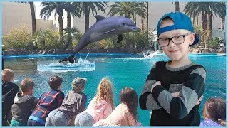 Field Trip | Bubbas Adventure Show goes to Secret Garden Dolphin Habitat