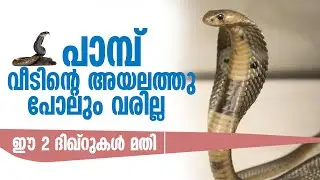 പാമ്പ് വീടിന്റെ അയലത്തു പോലും വരില്ല ഈ 2 ദിഖ്‌റുകൾ മതി | PAMB VARATHIRIKKAN | SIDHEEQ MANNANI KOLLAM