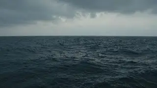 Je suis avec toi, mais je suis seule🎧Chanson fran&ccedil;aise &eacute;motionnelle.
