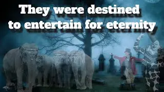 Illinois' Ghost Elephants: The Tragic Tale of Showmen's Rest