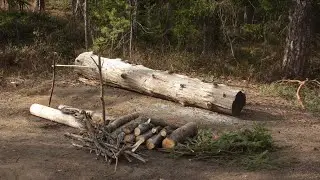 А может в лес: Орехово, озеро Кельза