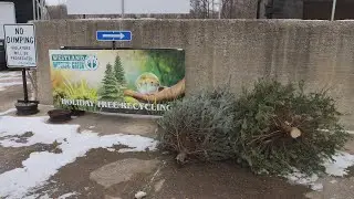 Mission: Green TV -  Holiday Tree Recycling