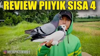 TES BALAP PIYIK MEGAN