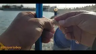 Fishing Vlog #3: Bait and Wait Fishing @ Murjan Island Damman KSA