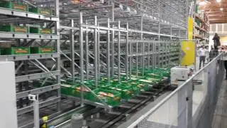 WITRON-L&ouml;sung Optimal Fresh Picking (OFP)