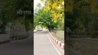 Hemvati Nandan Bahuguna Garhwal University #hnbgu #university #campuslife