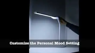Prism LED Desk Lamp TL-8200 Series Review