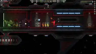 Assault on an enemy spaceship. Starbound.