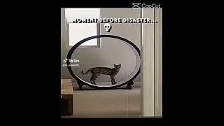 flashcat (sadece hız) #flashcat