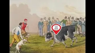 Bull Baiting is still practiced , we are the bull (toddlers) The sick ownership of dogs 2025