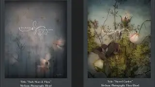Get Inspired! Showcasing my Flora Blend Artwork from May's Solo Exhibition - A Quiet Walkthrough