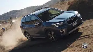 SUBARU FORESTER e-BOXER 2020 AUTOMOTOERT