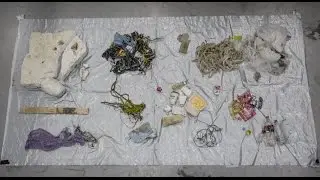 Cleaning up our oceans