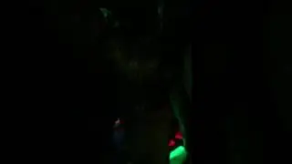 PlayBar NightClub Waikiki