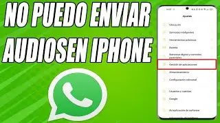I CANNOT SEND AUDIO via Whatsapp on iPhone (SOLUTION)