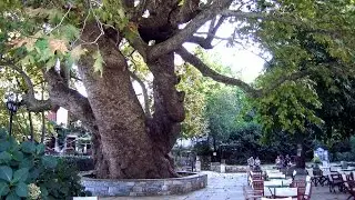 PELION IN SIX MINUTES