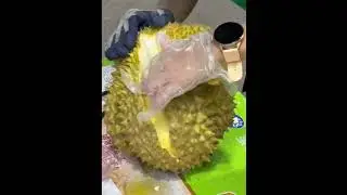 #Thai Golden Pillow Durian#Opening a durian with bare hands #durian