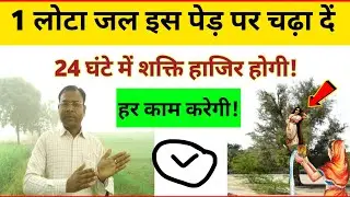 मिनटों में काम कराना है तो 1 लोटा जल इस पेड़ पर चढ़ा दें // 24 घंटे में शक्ति हाजिर होगी!