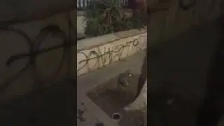 ANTI TRUMP GRAFFITI DOWN TOWN LOS ANGELES