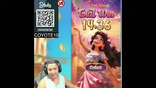PIX PRO CHAT -  jogando na stake!