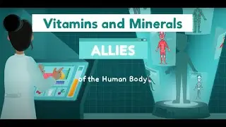 Vitamins and Minerals: Allies of the Human Body
