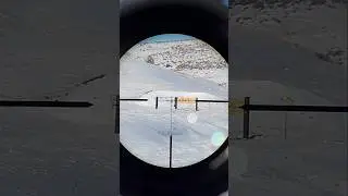 Howa 1500 Rifle with Telson Optics ARC Scope