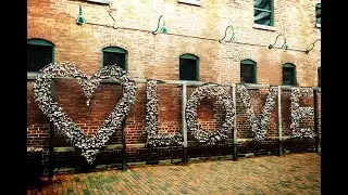 Engagement day in the distillery district!